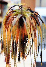 TOUR EDITION PRO PEANUT HEAD JIG 1/2 OZ WITH GAMAKATSU FLAT EYE RB HOOK 3 PACK