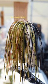 TOUR EDITION DUAL TUNGSTEN DUAL THREAT SWIM JIG 1/4 OZ, Silicone Skirt  2 PACK