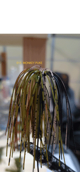 PURE POISON JIGS SHOT CALLER WEEDLESS FINESSE BALL JIG 3/16 OZ 3/0 HOOK SILICONE SKIRT 3 PACK