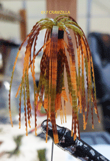 TOUR EDITION DUAL TUNGSTEN DUAL THREAT SWIM JIG 1/4 OZ, Silicone Skirt  2 PACK