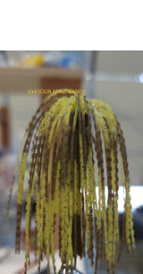 PURE POISON JIGS SHOT CALLER WEEDLESS FINESSE BALL JIG 3/16 OZ 3/0 HOOK SILICONE SKIRT 3 PACK
