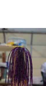 PURE POISON JIGS SHOT CALLER WEEDLESS FINESSE BALL JIG 3/16 OZ 3/0 HOOK SILICONE SKIRT 3 PACK