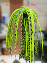 TOUR EDITION DUAL TUNGSTEN DUAL THREAT SWIM JIG 1/4 OZ, Silicone Skirt  2 PACK