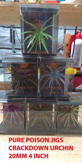 Pure Poison Jigs  "CRACKDOWN" URCHIN BAIT 20 MM 4 INCH 1 PACK